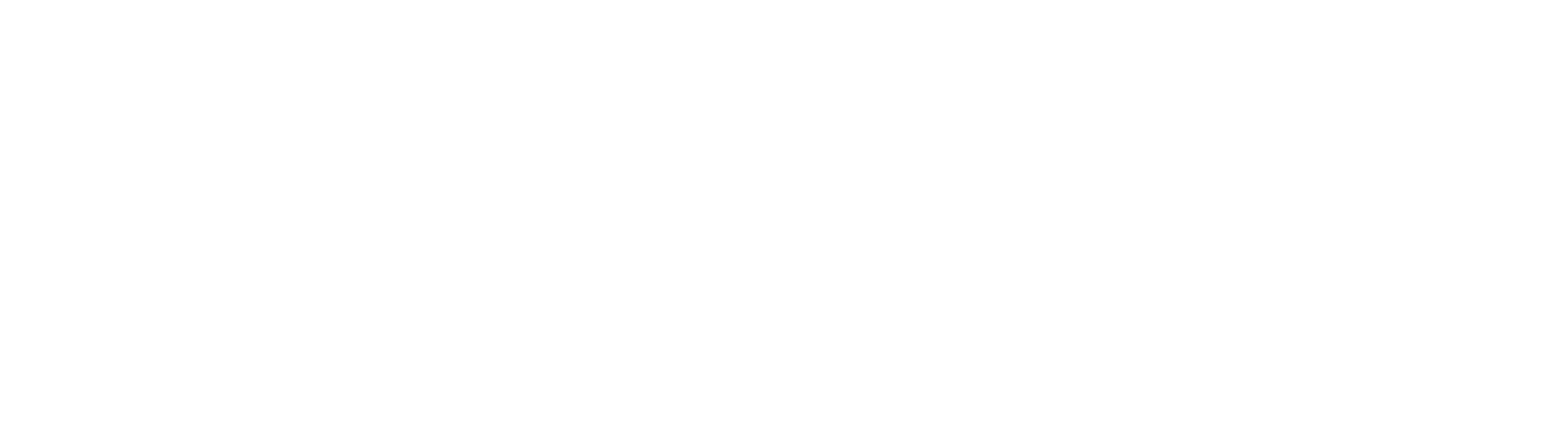 NameVerse - Premium Domain Names