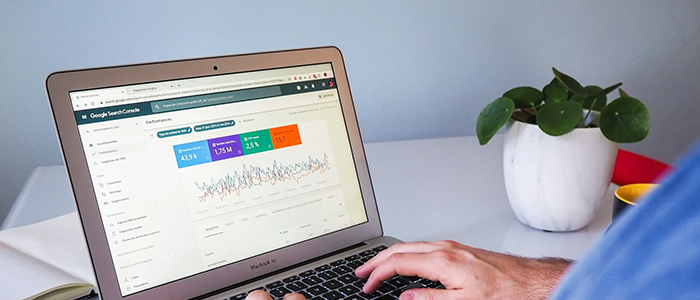 SEO optimization and search ranking services